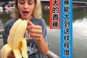 国产视频大香蕉,揭秘国内影视产业的魅力与挑战